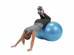 Best Sale 🛒 Gymnic Physio-Roll Fitness Ball, 28 Inch, Blue, Each 💯