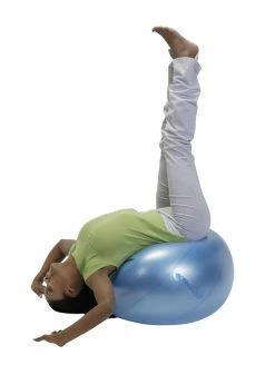 Cheap 🎁 Gymnic Giant Body Ball, 25-1/5 Inches, Blue, Each 🔥