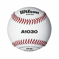 Best deal 😀 Wilson WTA1030B High-Quality ⚾ Baseballs, Set Of 12 🛒