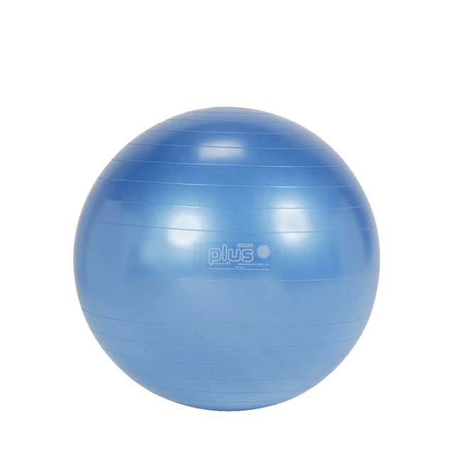 Best deal π Gymnic Classic Plus Therapy Ball, 25-1/2 Inch, Blue, Each π